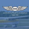 Image of Cessna 172 aircraft taxiing on rural airfield. Image is overlaid with blue and displays ASA logo announcing Learn to Fly Blog.