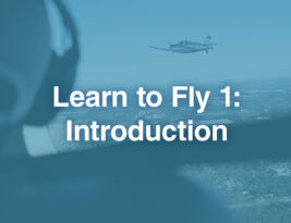 Learn to Fly 1: Introduction