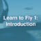 Air-to-air photo of pilot looking at another Piper Archer mid-flight. Blue color overlay and text appear over image reading, "Learn to Fly 1: Introduction"