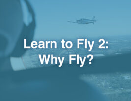 Learn to Fly 2: Why Fly?