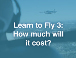 Learn to Fly 3: How much will it cost?