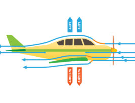 CFI Brief: Effects of Weight on Performance