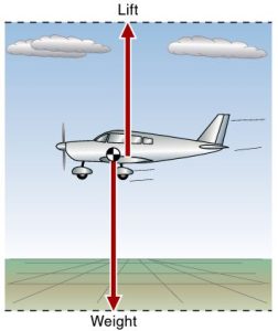 CFI Brief: Effects of Weight on Performance – Learn to Fly Blog - ASA ...