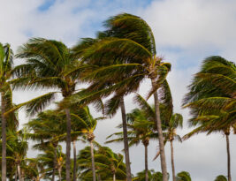 Navigation: The Effect of Wind