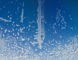 CFI Brief: Frost