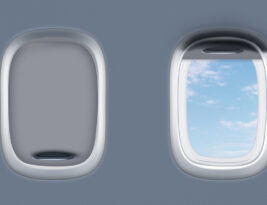 Human Factors: The Blind Spot
