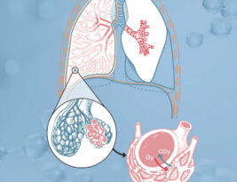 CFI Brief: Breathing and Oxygen