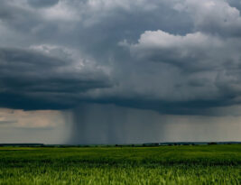 CFI Brief: Thunderstorms