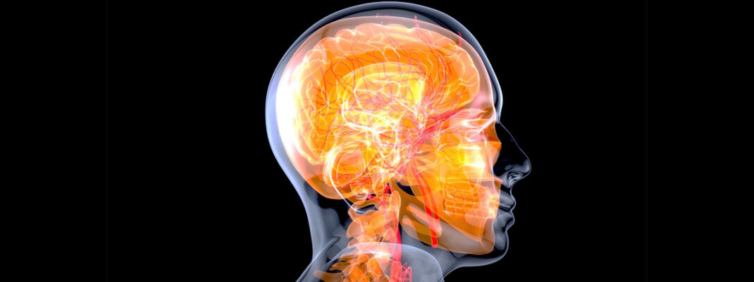 abstract image of inside human head