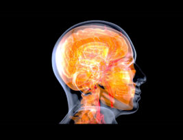 Human Factors: Vision, Scanning, and Judgement