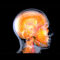 abstract image of inside human head