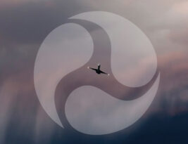 CFI Brief: Aviation Weather Services (AC 00-45H) – UPDATE